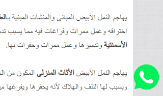 أيقونة واتساب للتواصل بالموقع أيقونة واتساب للتواصل بالموقع