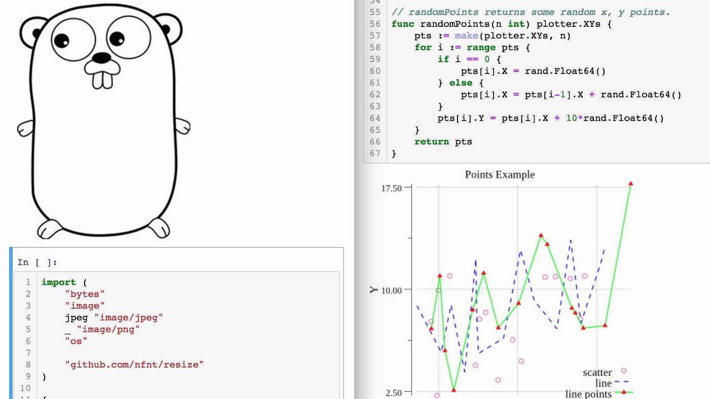 Go Juypter Go Jupyter