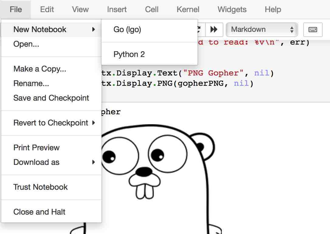 open igo jupyter notebook open igo jupyter notebook