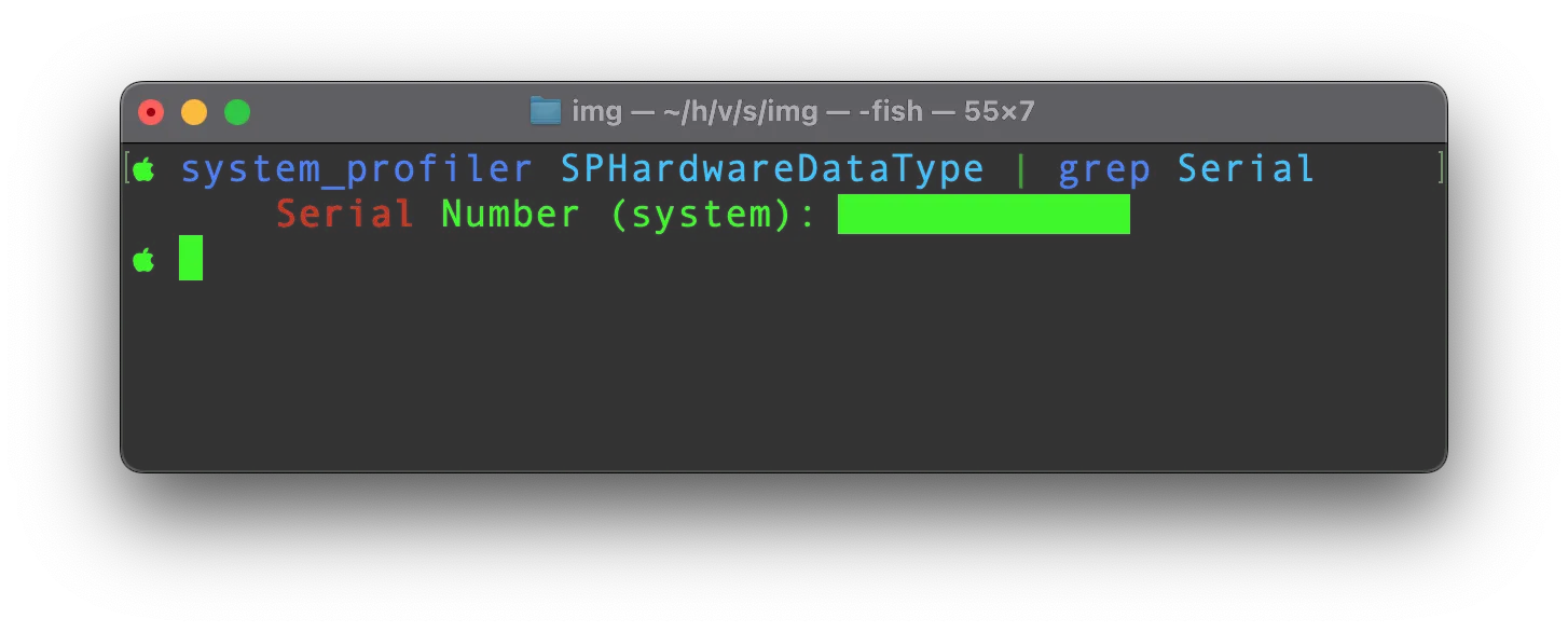 get serial number in Terminal get serial number in Terminal