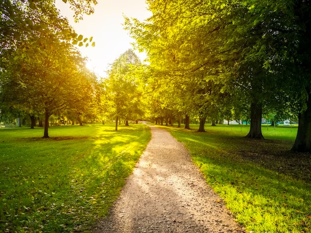 beautiful nature beautiful nature